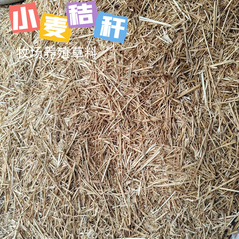40a25fbad7ca67df1fe4466e260d388f_O1CN01chiu2p1D3mp8T2o4c_!!2219500330161-0-cib___r__=1747713676686.jpg