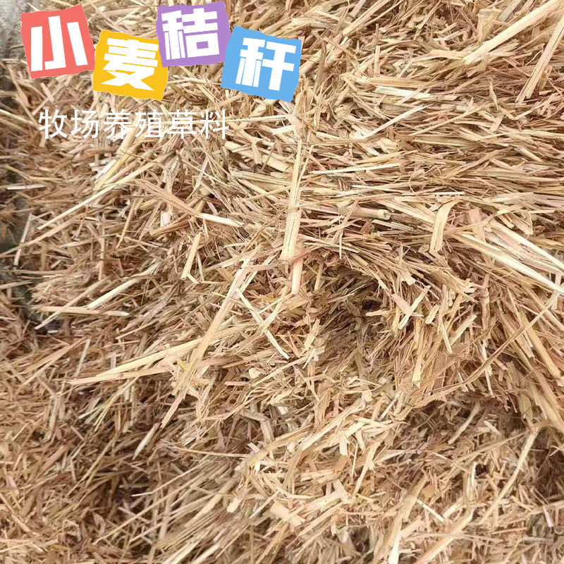 5271c9d25a487ed3cc61e7e9e8d4689c_O1CN01sGgie31D3mp89ajd6_!!2219500330161-0-cib___r__=1747713676686.jpg